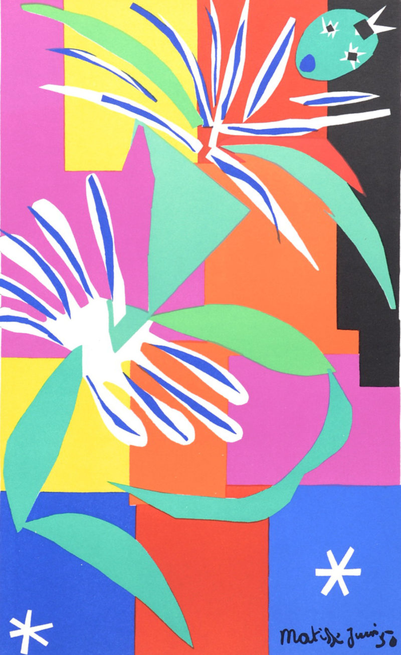 ncag art gallery MATISSE Henri UGS 1792