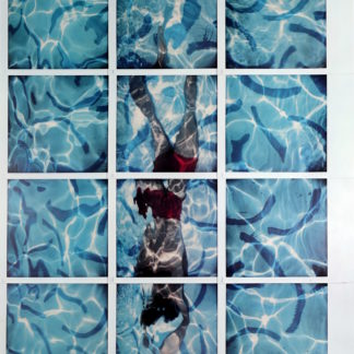 Ncag Art Gallery Hockney David Ugs 1654