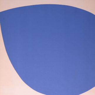 ncag art gallery KELLY Ellsworth UGS 1253