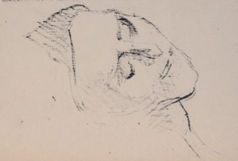Dsc 1060 6