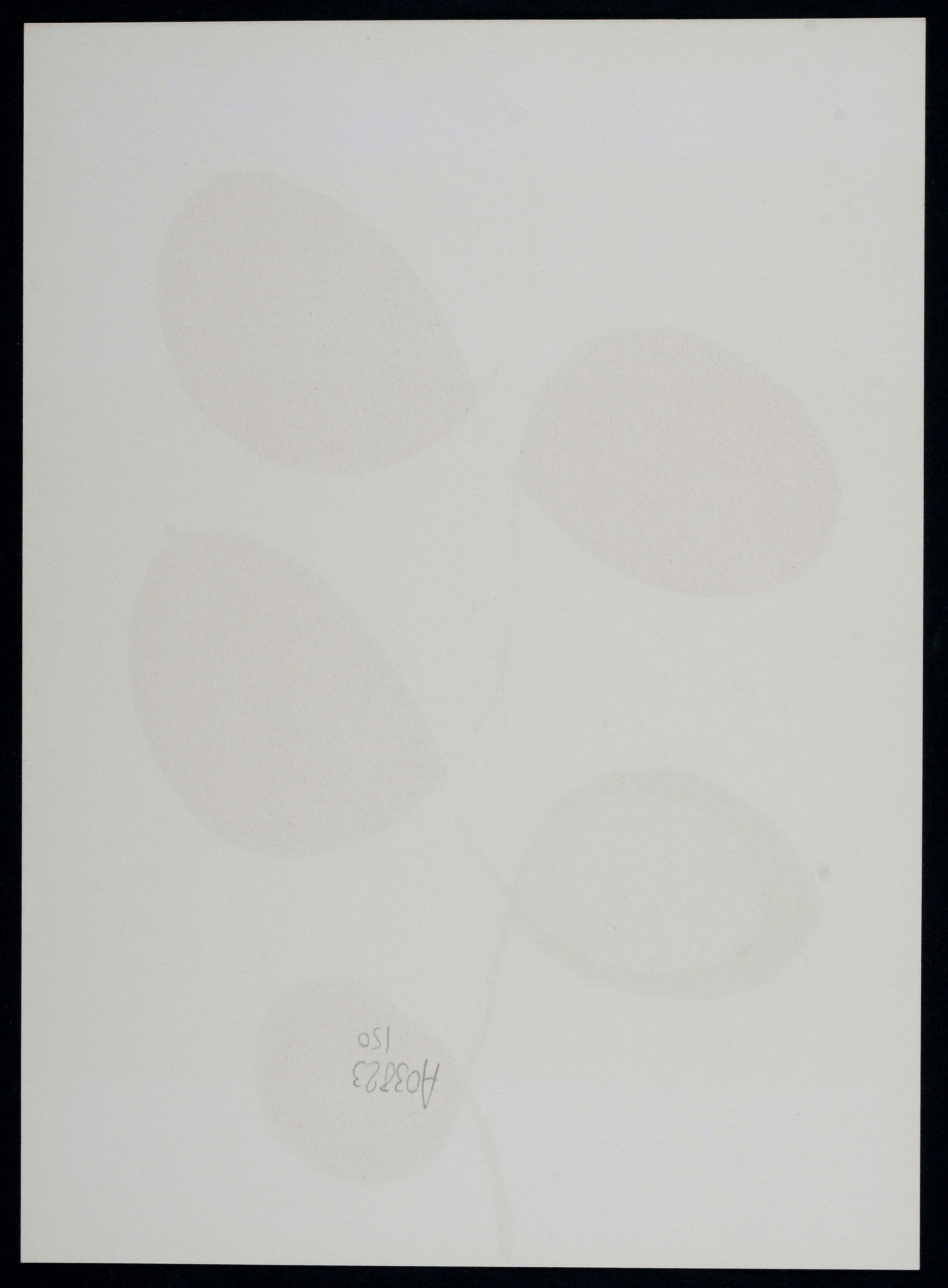 Alexander Calder - Composition abstraite - Retrospektive, 1973 (Copie) – Image 6