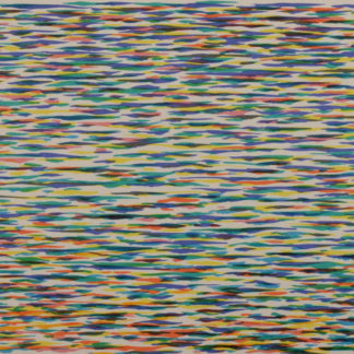 ncag art gallery DORAZIO Pierre UGS 2489