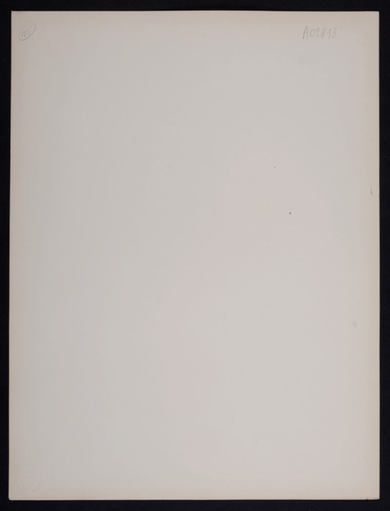 Lucien Lévy-Dhurmer - Belle d'antan, 1897 - Image 6