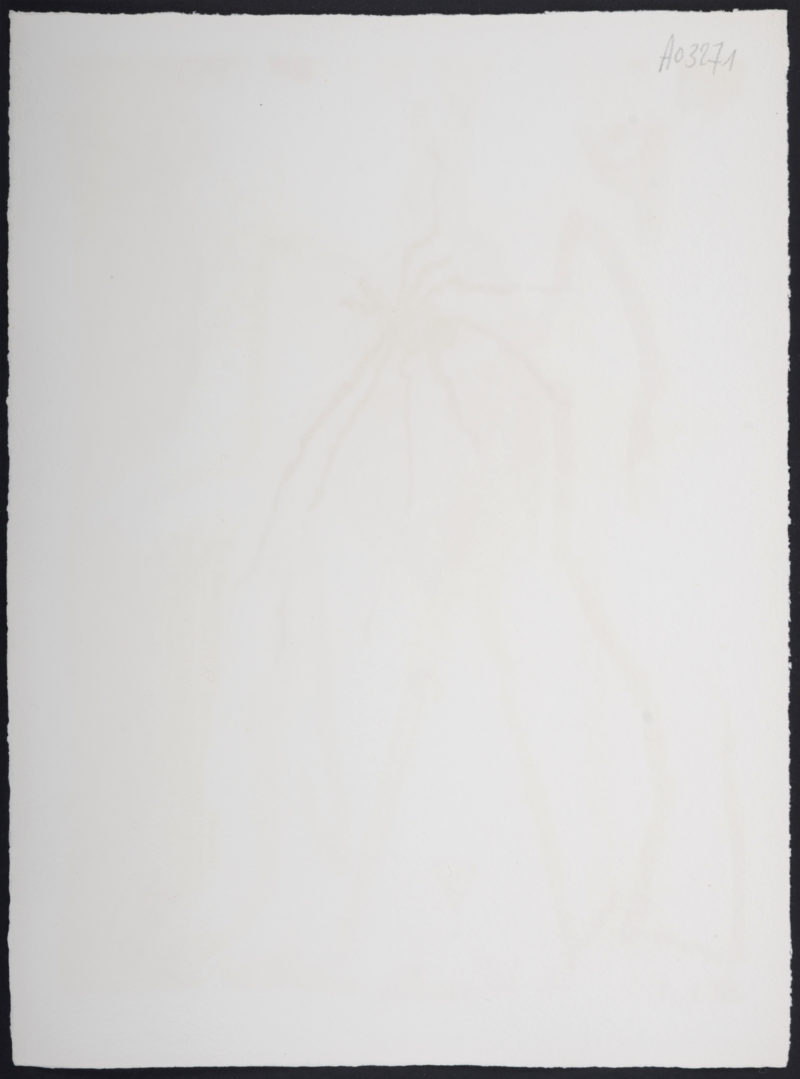 Bernard Lorjou - Le Cheval, 1965 - Image 5
