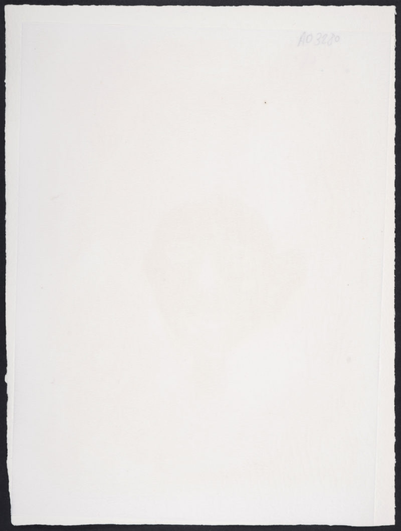Bernard Lorjou - Le Lion, 1965 - Image 5