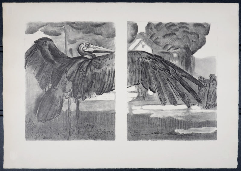Paul Jouve - Marabout déployant ses ailes, 1934. - Image 3