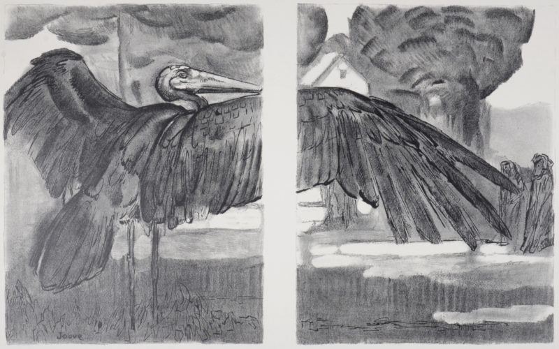 Paul Jouve - Marabout déployant ses ailes, 1934.