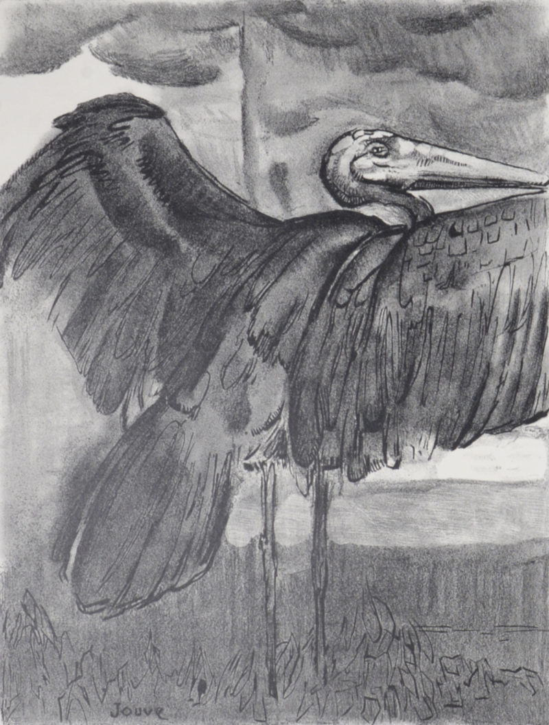 Paul Jouve - Marabout déployant ses ailes, 1934. - Image 4