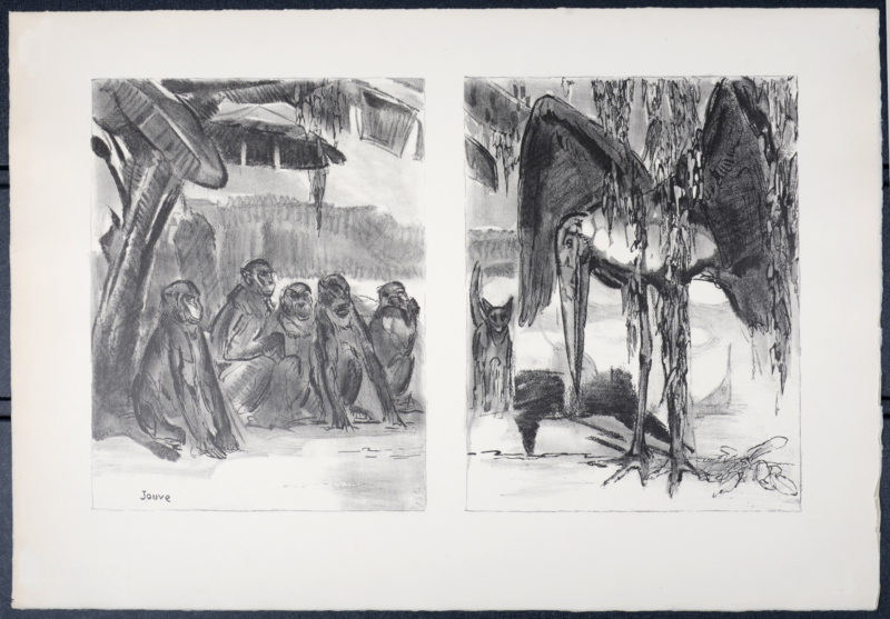 Paul Jouve - Singes assis et marabout, 1934. - Image 3