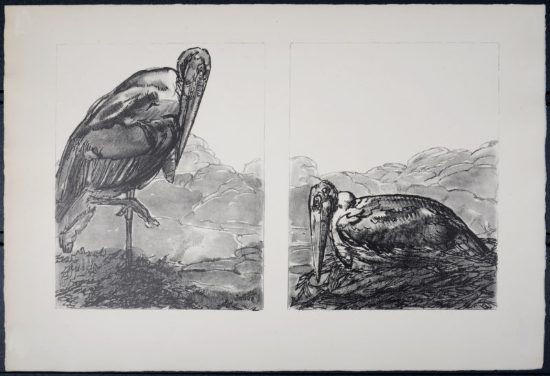 Paul Jouve - Les Marabouts, 1934. - Image 3