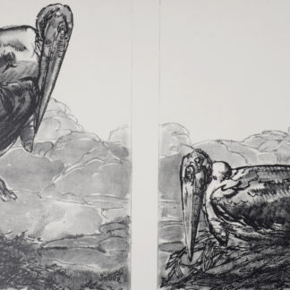 Galerie d'art ncag jouve paul ugs 2923
