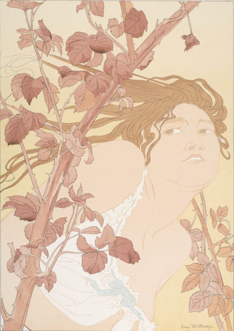 Henry Detouche - Les Ronces, 1897