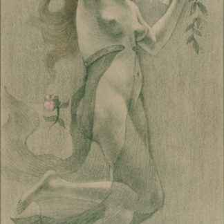 ncag art gallery RASSENFOSSE Armand UGS 1019