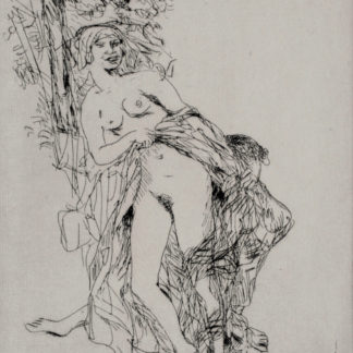 Galerie d'art ncag bonnard pierre ugs 1102