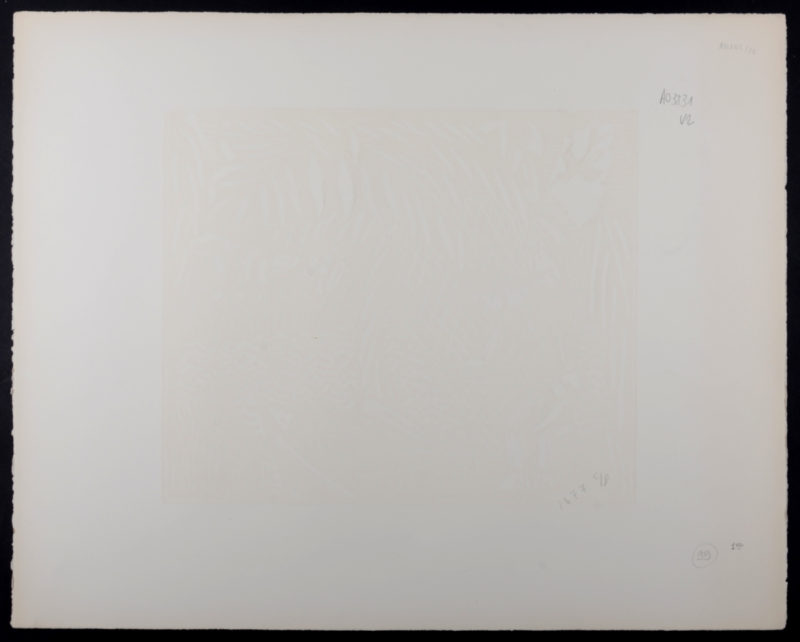 Dsc 8603 6
