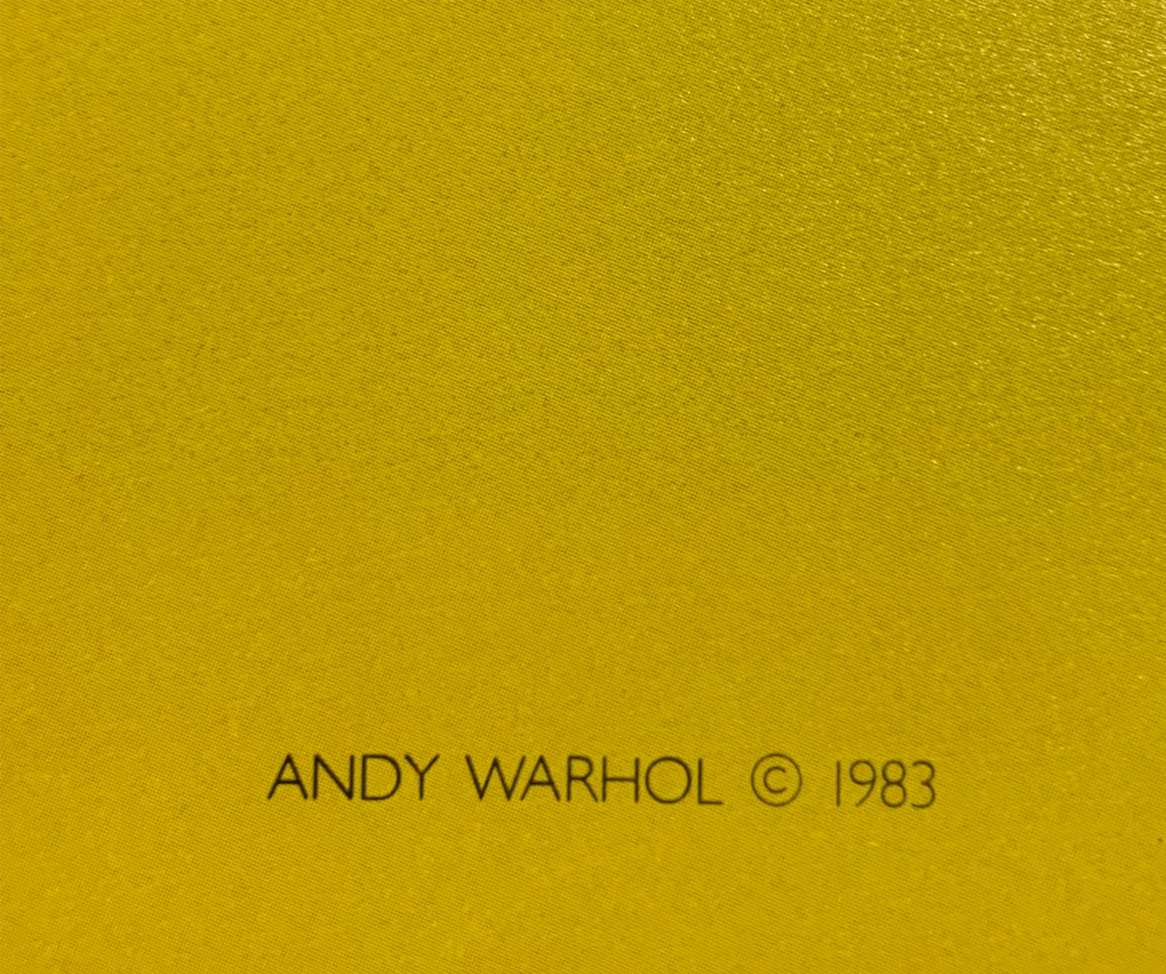 Andy Warhol - Olympic Winter Games, Sarajevo 1984 - Image 4