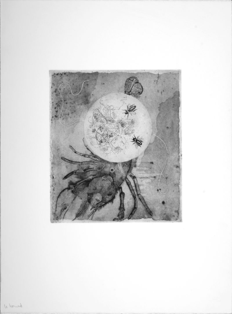 Gotthard-Johnny Friedlaender (After) - Le Homard, 1995 - Image 3