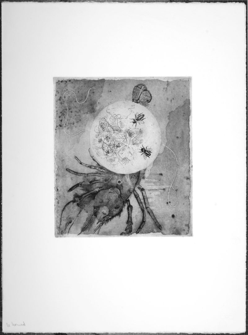 Gotthard-Johnny Friedlaender (After) - Le Homard, 1995 - Image 2