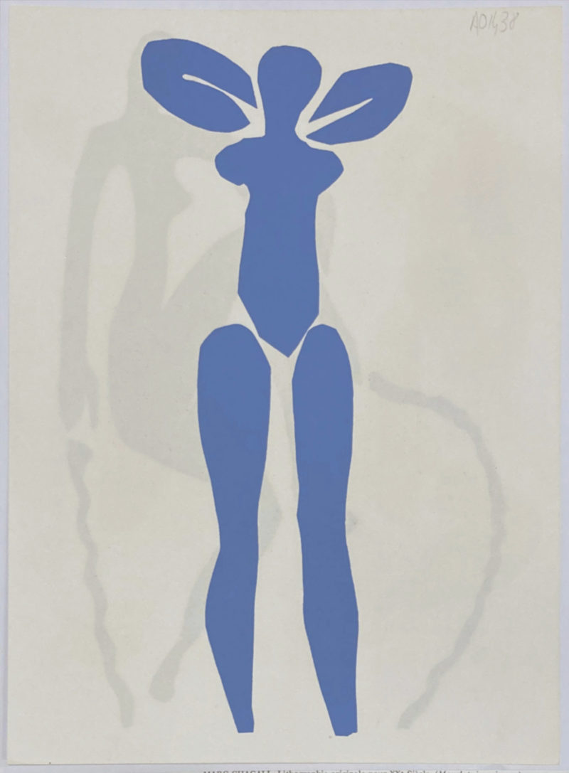 Matisse 6