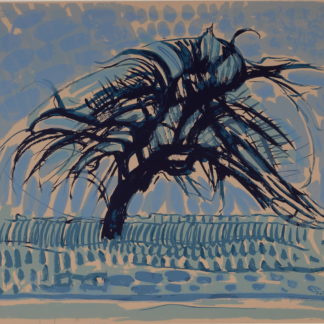 ncag art gallery MONDRIAN Piet UGS 1977