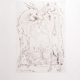 ncag art gallery DALI Salvador UGS A_1003