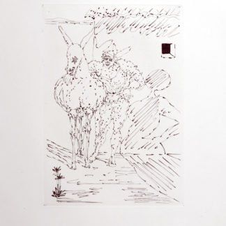 ncag art gallery DALI Salvador UGS A_1043