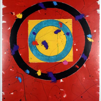 ncag art gallery FRANCIS Sam UGS A_1077