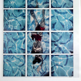ncag art gallery HOCKNEY David UGS A_1078
