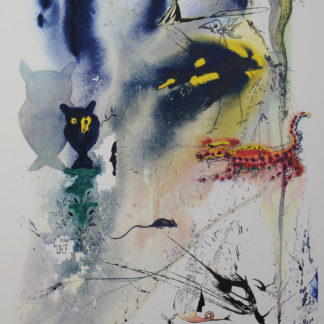 ncag art gallery DALI Salvador UGS A_1276-1