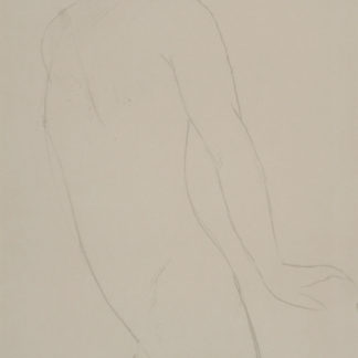 ncag art gallery MODIGLIANI Amedeo UGS A_1393