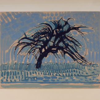 ncag art gallery MONDRIAN Piet UGS 1977