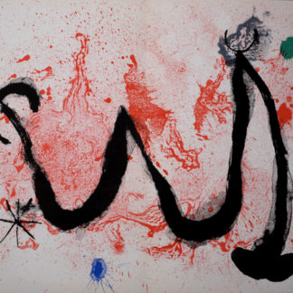 Galerie d'art ncag miro joan ugs 1273