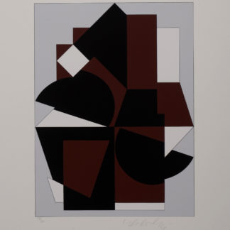 ncag art gallery VASARELY Victor UGS A_1611
