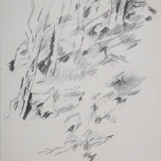 Jean Bazaine : Composition (sous-bois), 1955