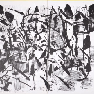 Ncag art gallery alechinsky pierre ugs 2185