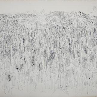Ncag art gallery dufy raoul ugs 2337
