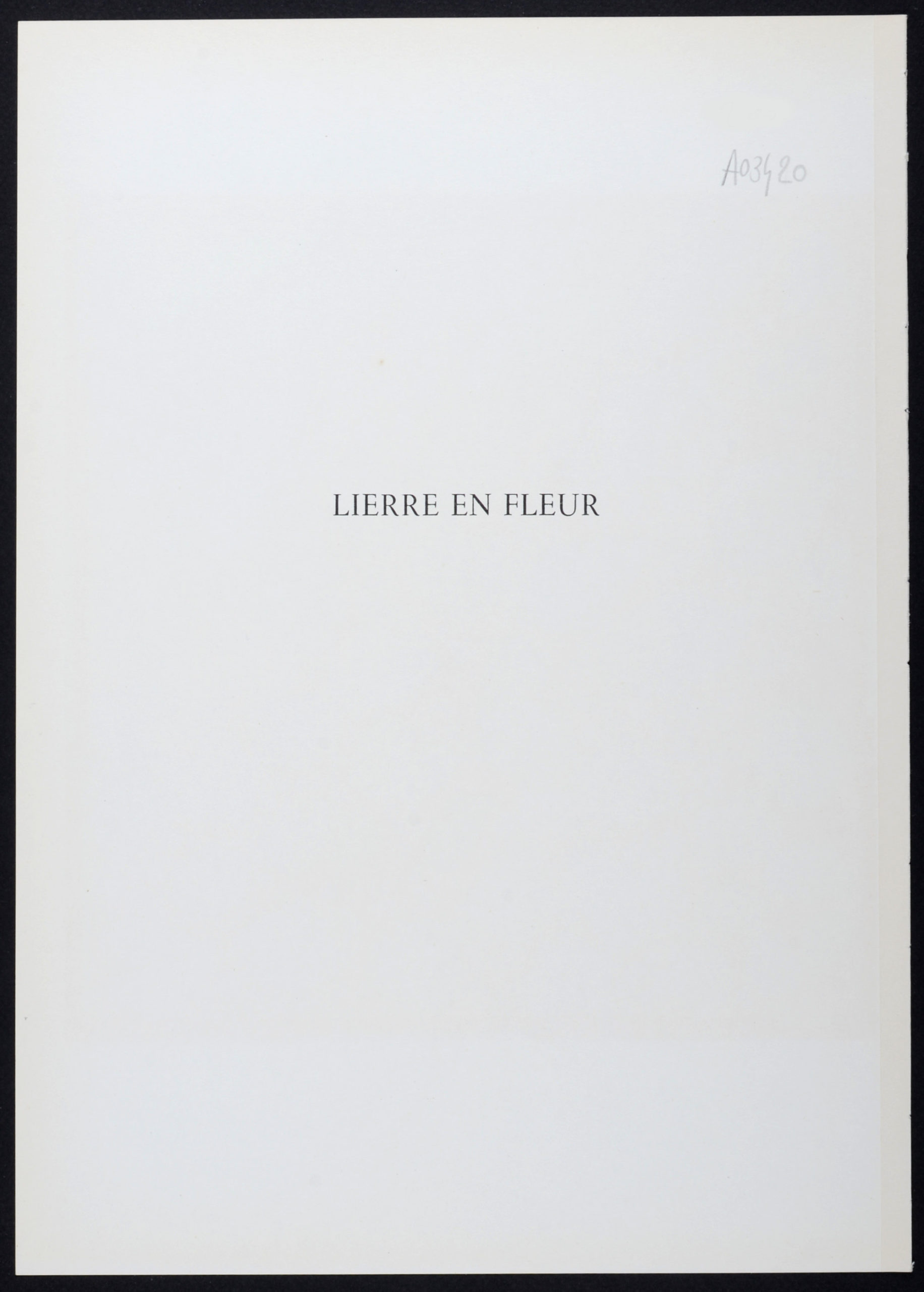 Henri Matisse – Lierre en Fleur, 1958 – NCAG