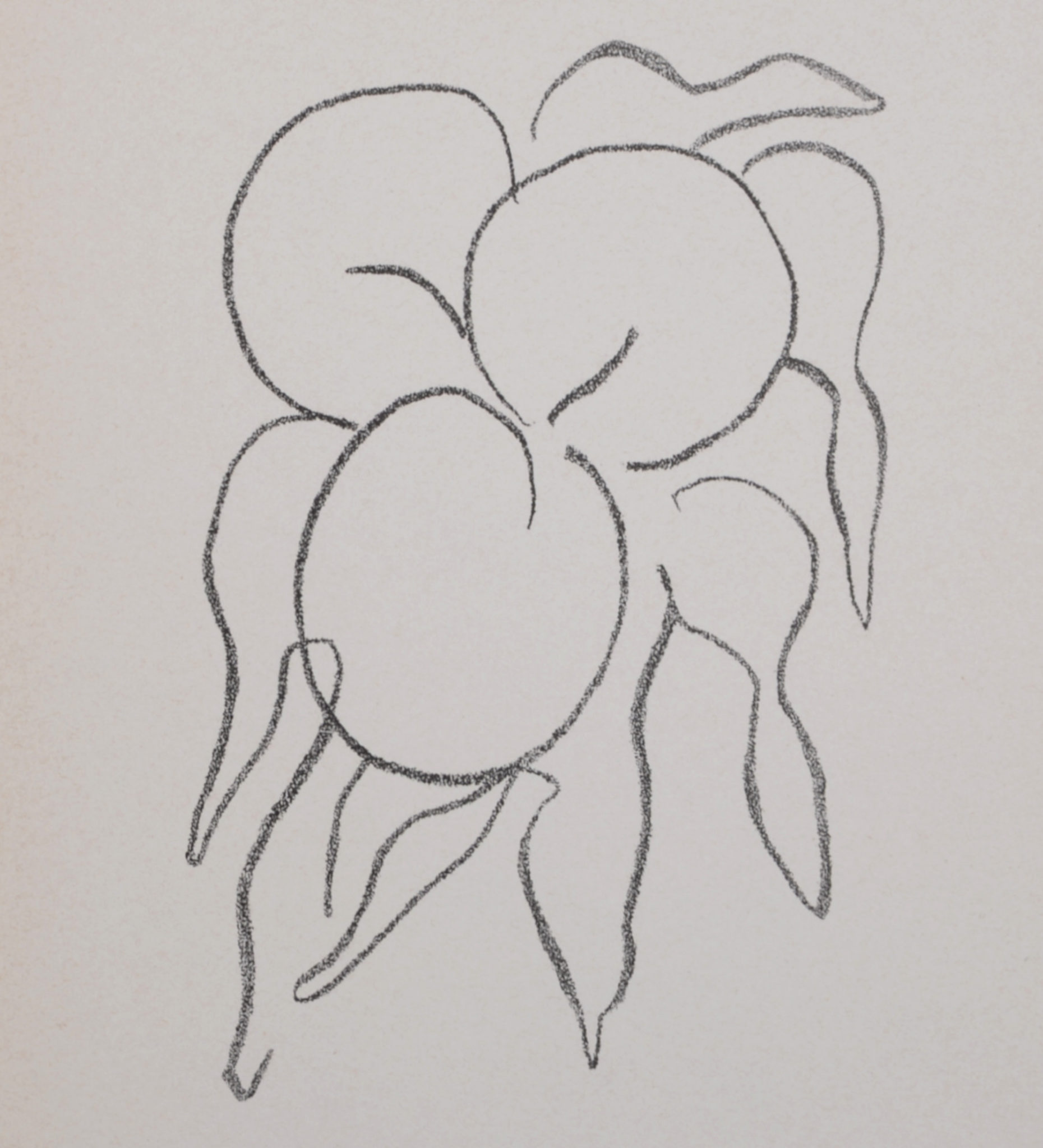 Henri Matisse Fruits 1964 NCAG henri-matisse-fruits-1964-ncag