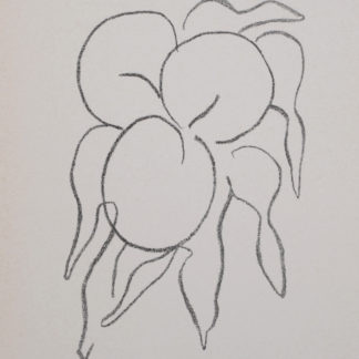 Ncag Art Gallery Matisse Henri Ugs 2410