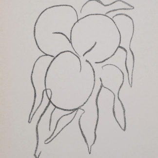 Galerie d'art ncag matisse henri ugs 2410
