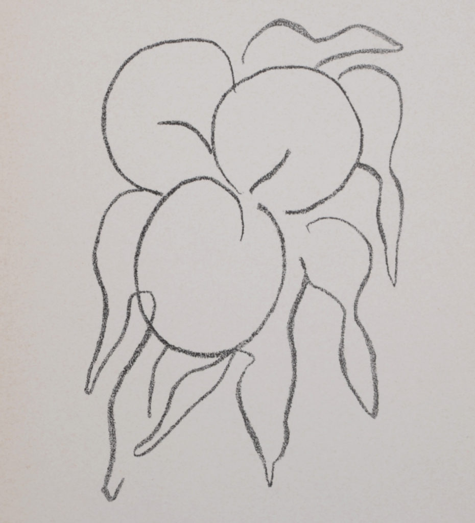 Ncag Art Gallery Matisse Henri Ugs 2410