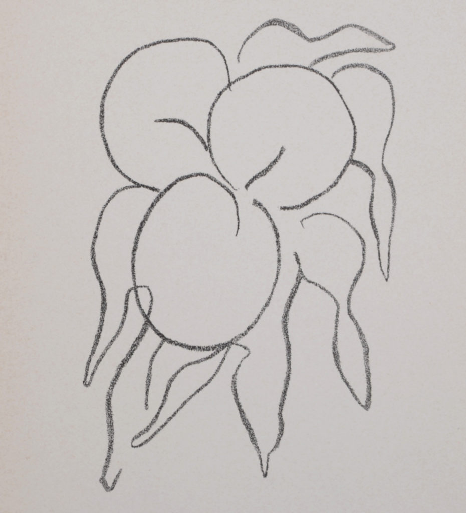 Henri Matisse - Fruits, 1964