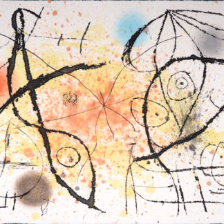 ncag art gallery MIRO Joan UGS A_1995