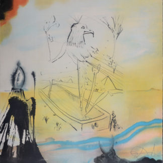 ncag art gallery DALI Salvador UGS A_2120