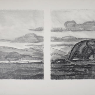 ncag art gallery JOUVE Paul UGS A_2392
