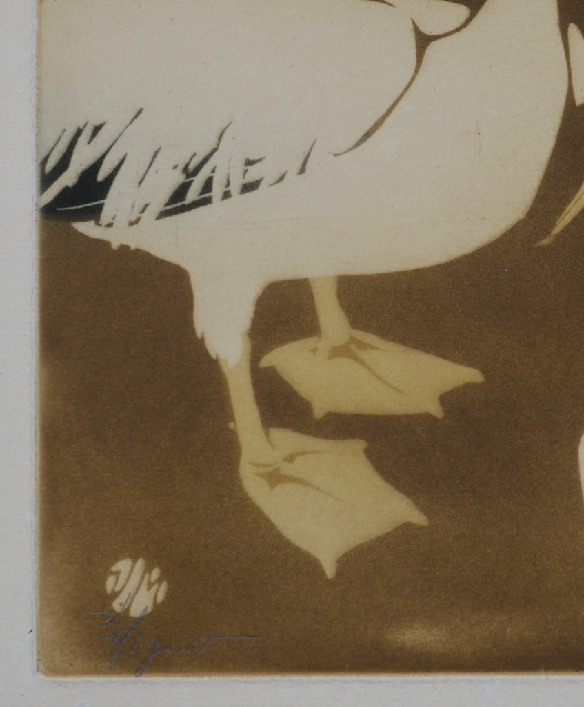 Victor Mignot - Le Pélican, c. 1910 Hand-signed! - Image 4