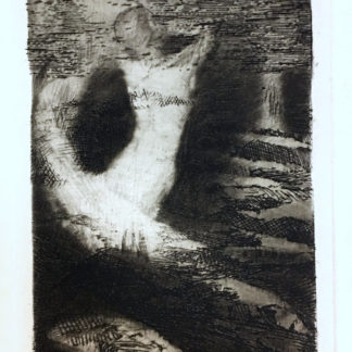 ncag art gallery REDON Odilon UGS A_334