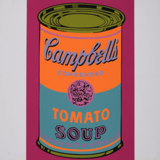 ncag art gallery WARHOL Andy UGS 530