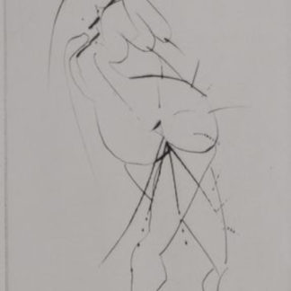 ncag art gallery DALI Salvador UGS A_779