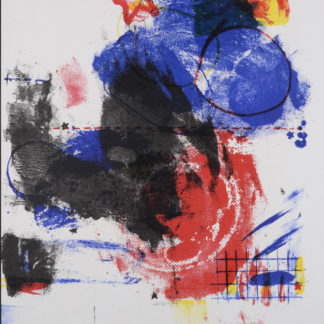 ncag art gallery RAUSCHENBERG Robert UGS 10369